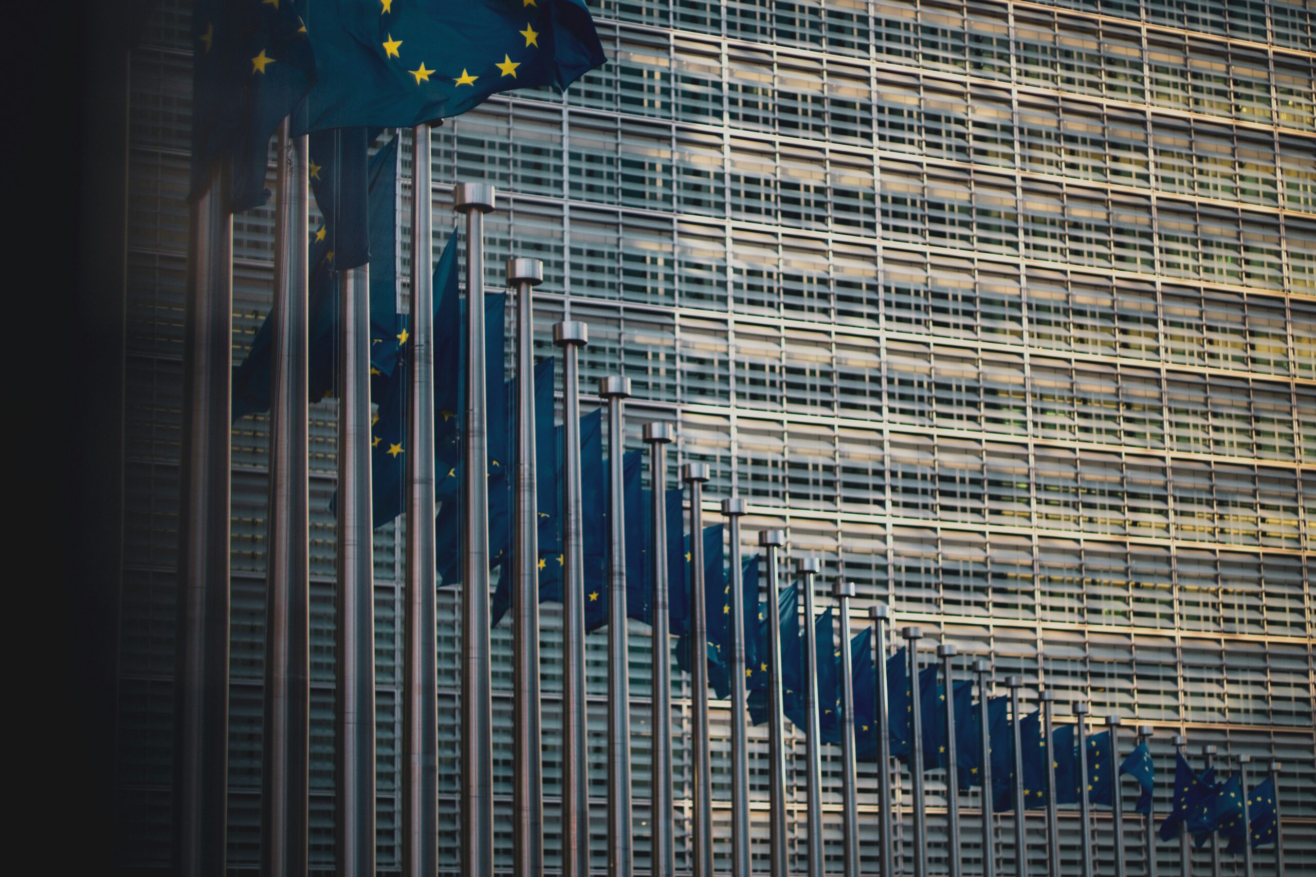 Read more about the article Η επέκταση της ΕΕ στην Ενιαία Αγορά